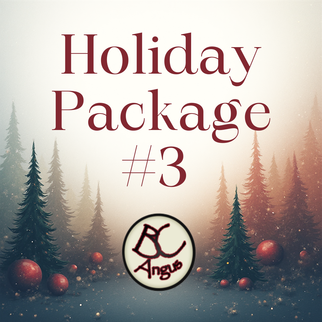 HOLIDAY PACAKAGE #3