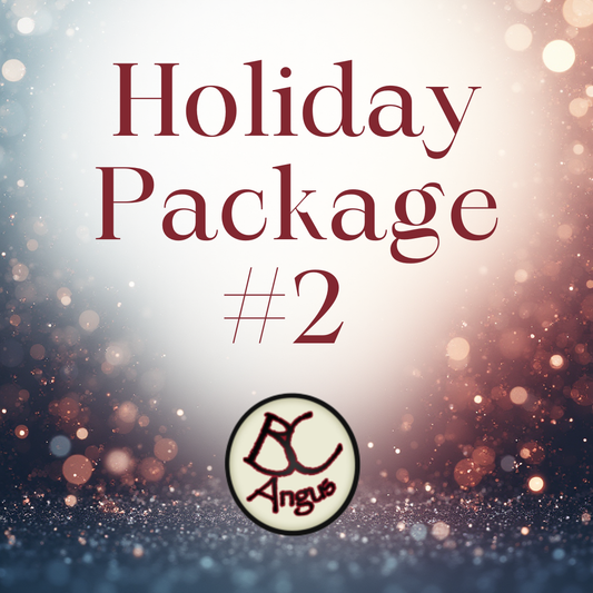 HOLIDAY PACKAGE #2