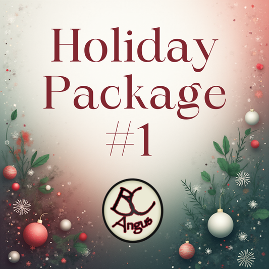HOLIDAY PACKAGE #1
